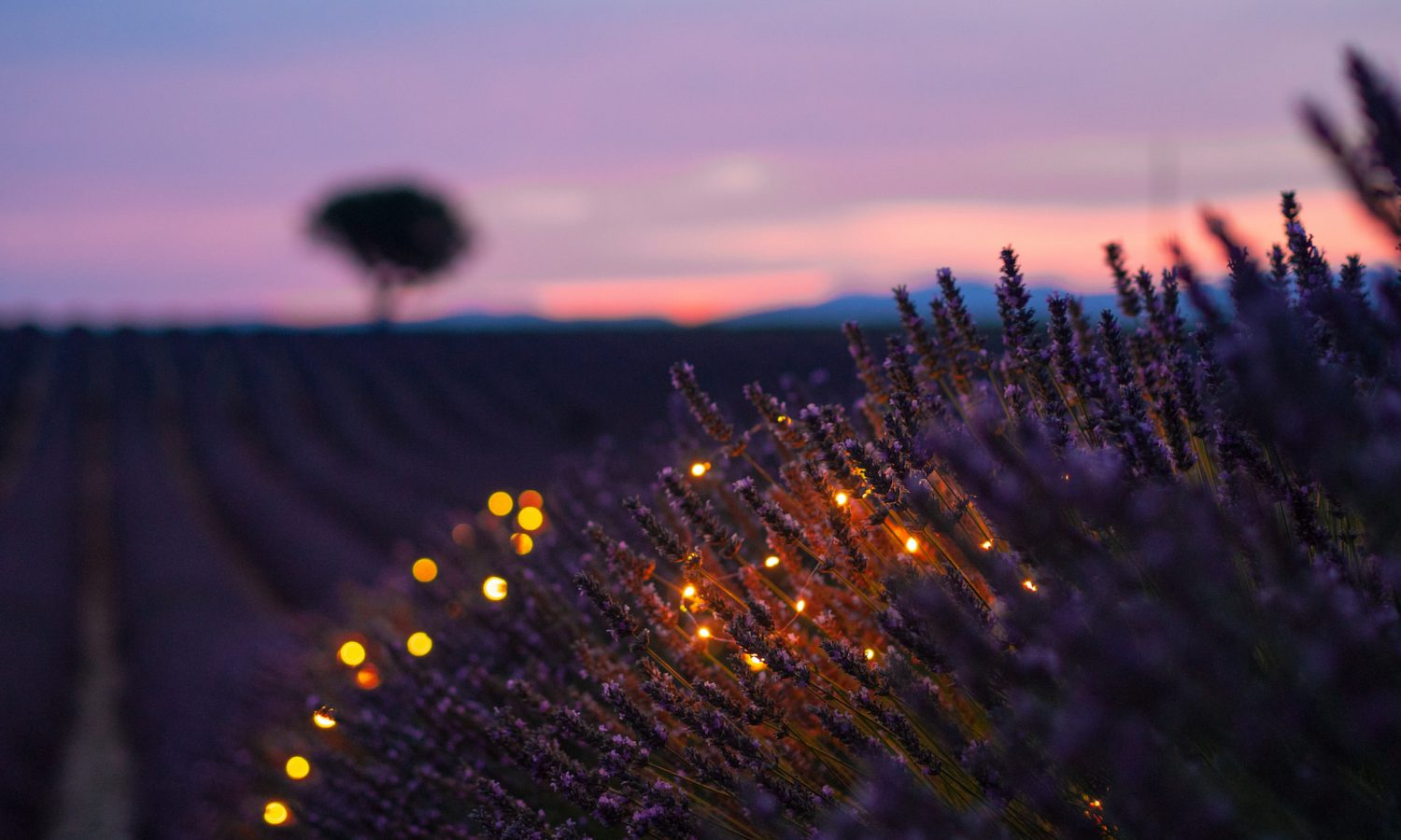 aix-en-provence